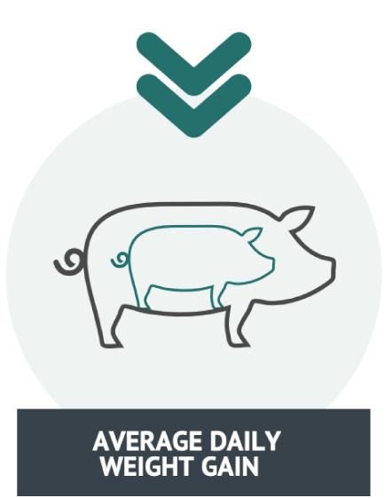 Average Daily weight gain