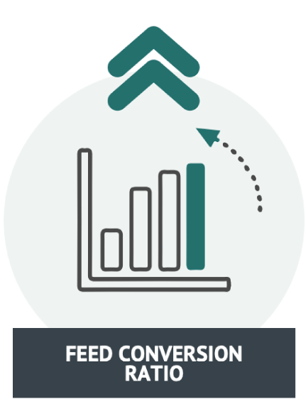 Feed conversion ratio