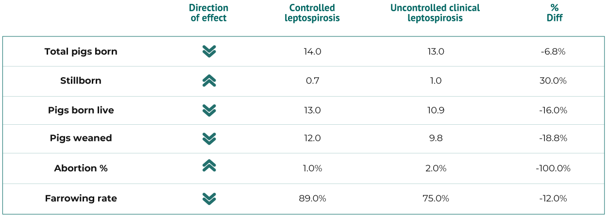 Sow Herd Productivity Effects of Uncontrolled Clinical Leptospirosis