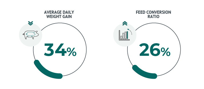 Average Daily Weight Gain - Feed Conversion ratio