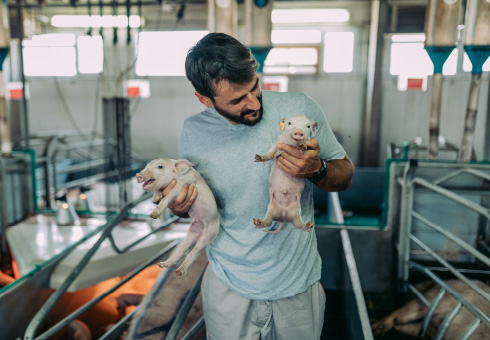 Human Resource Considerations in the Pork Industry