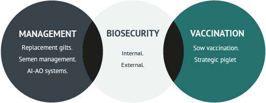 Management - Biosecurity -Vaccinatin