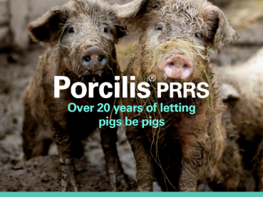 Porcilis PRRS brochure
